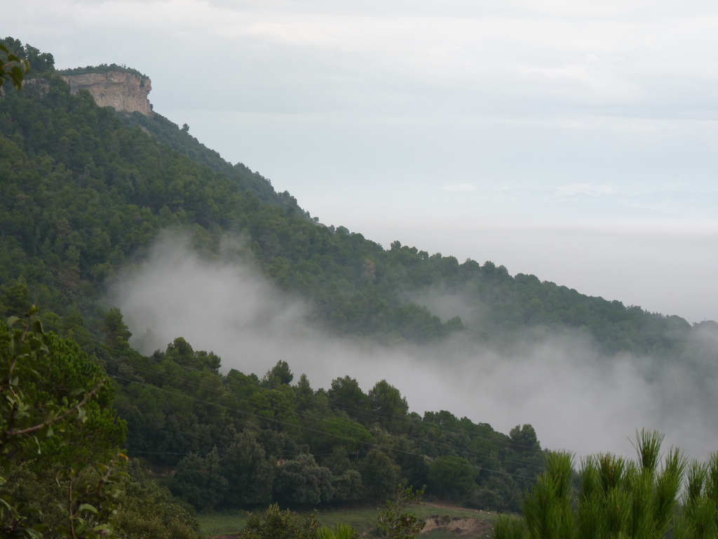 No s'ha trobat l'arxiu